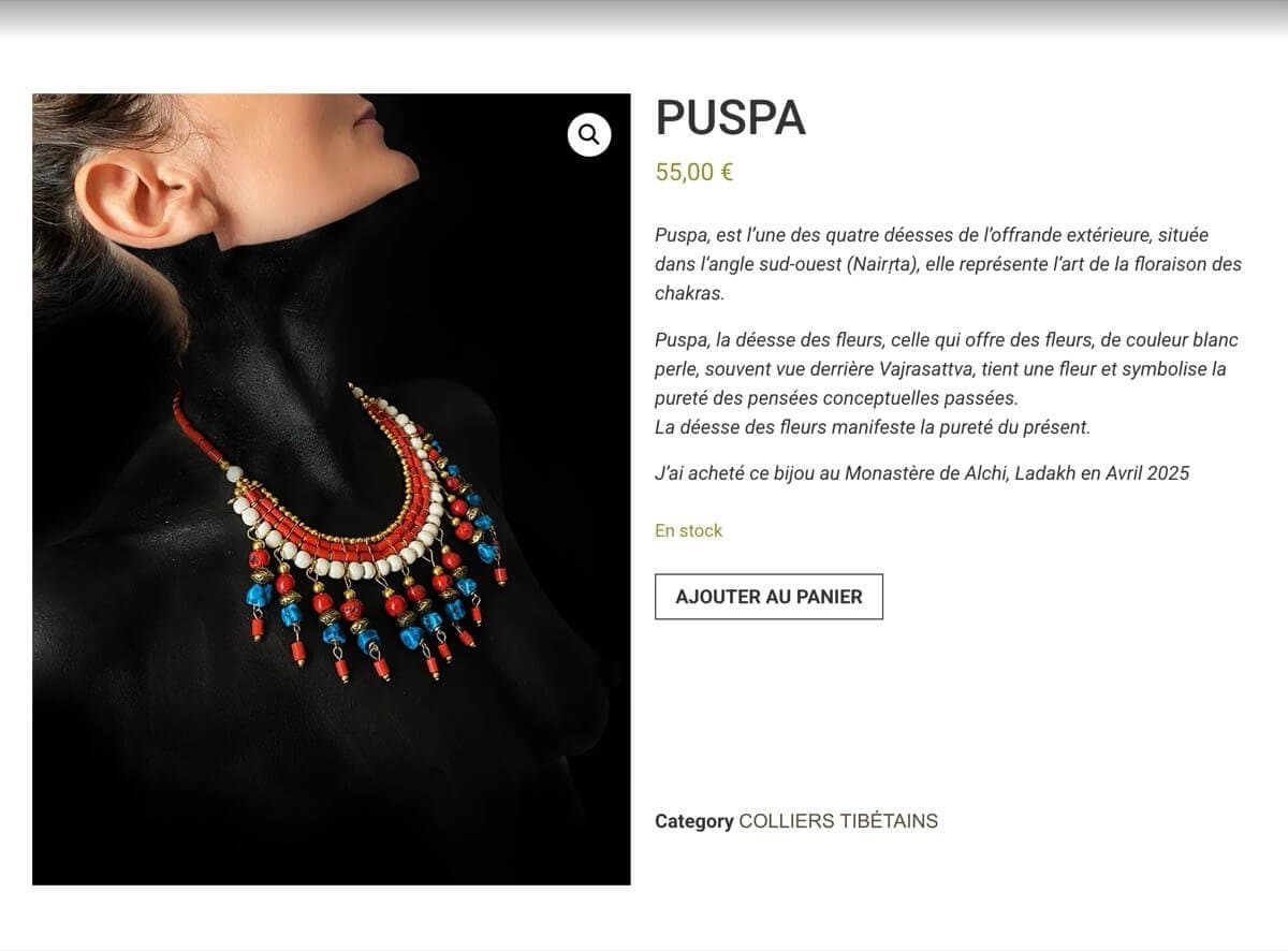 Dit Cheyenne online shop